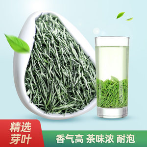 毛尖茶春茶2021雨前嫩芽散装浓香茶