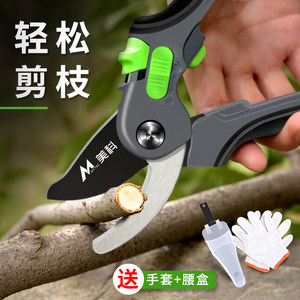 果树修枝剪园林树枝花剪修剪德国