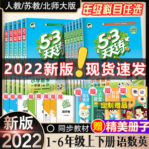 2022新版53天天练下册语文练习册