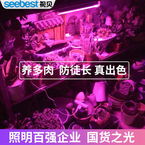 视贝led生长灯室内多肉补光灯