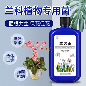 兰灵王 em菌君子兰建兰墨兰营养液
