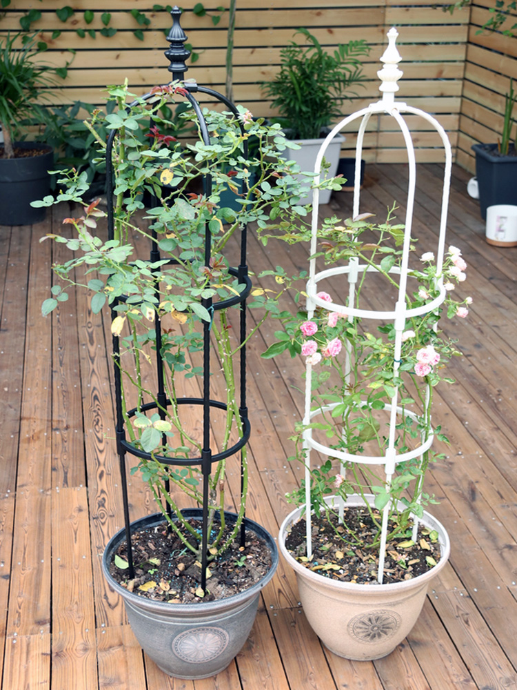 【券后价:6.77元】 【金杏】植物U型爬藤架 - 金杏园艺旗舰店