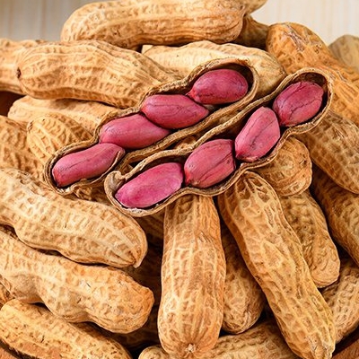 【券后价:8.9元】 好价回归！龙岩湿烤花生500g - 醉喃馋旗舰店