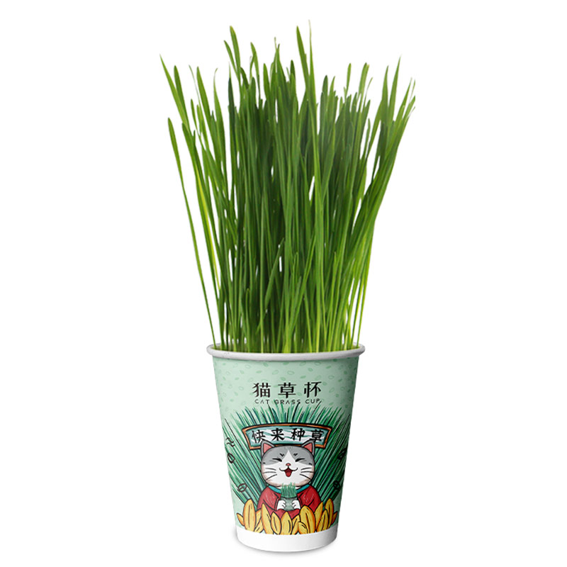 【券后价:6.6元】 路斯快来种草猫草杯105g - luscious路斯旗舰店