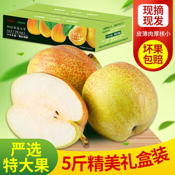 山东阳信鸭梨一级果5斤礼盒装