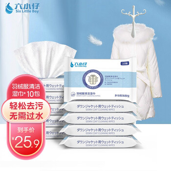 【官方旗舰店】六小仔 羽绒服湿巾10抽*10包