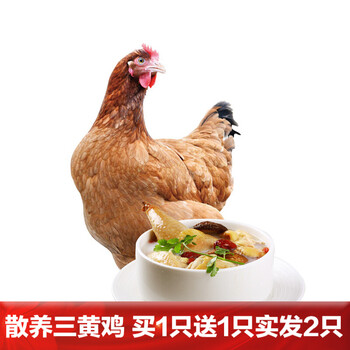 仓帝 农家土鸡 600g 整只装