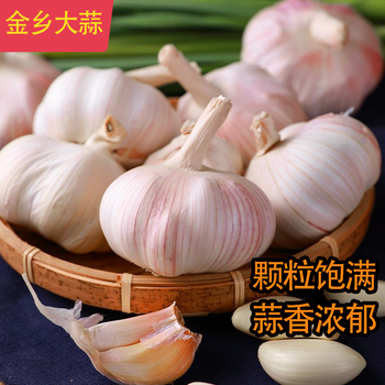 金乡紫白皮大蒜4斤
