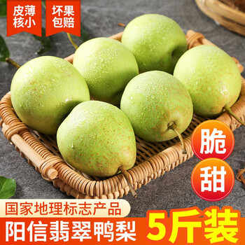 山东阳信鸭梨5斤16.9包邮