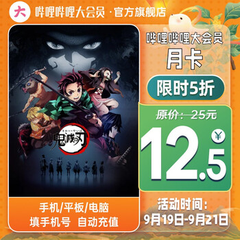 哔哩哔哩vip会员1个月
