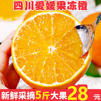 四川爱媛38号果冻橙5斤大果（净重4.8斤单果约70mm）