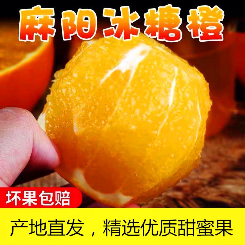 【补贴价:1.9元】 【速发现货】绿斌 橙子麻阳冰糖橙湖南甜橙子当季新鲜水果5/10整箱 3斤55-60mm中大果