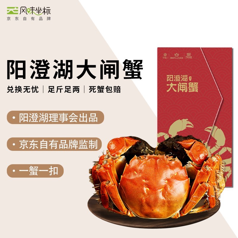 20点
限量15069
 
限量600件1
