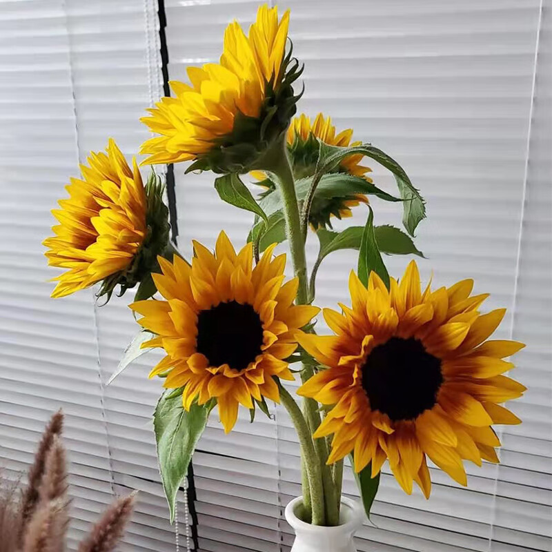 【基地直发】花加优选水养鲜切花瓶插花
mini油画向日葵5枝Plus页面领29-20卷，9.9包U每支1.98
