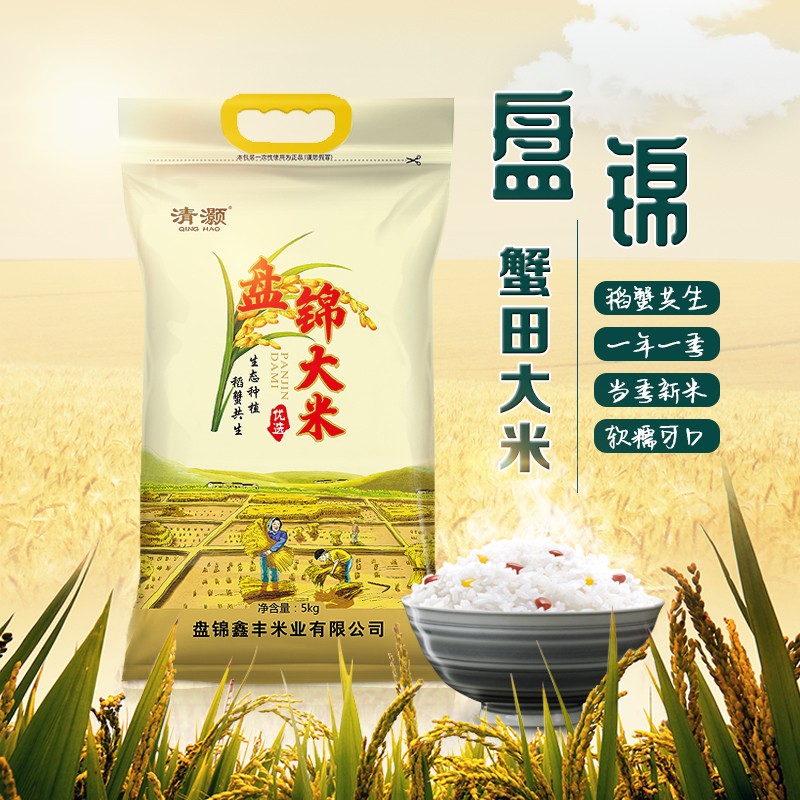 盘锦蟹田大米 东北优质一等珍珠米10斤装
 
plus叠105-5全品卷，到手22.9元
