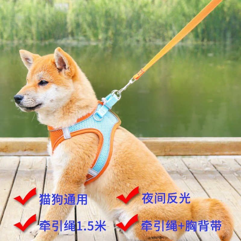  
宠物牵引绳【9包u】
 
金龙鱼饺子专用麦芯小麦粉1kg
如有京东69-20，3件【15.9+邮费】