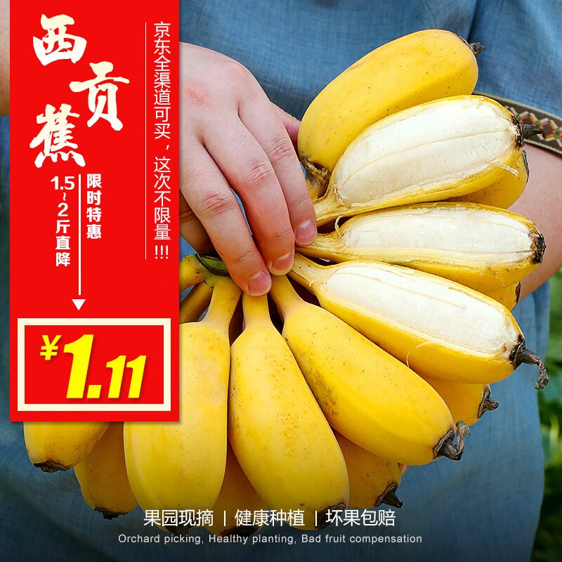 1.1元极速版下单 
