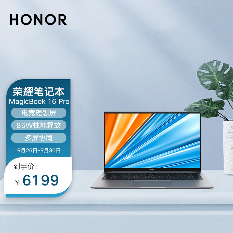 荣耀16 Pro
16.1英寸游戏本

先去预约，30号10点08开抢