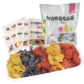 new boundaries 新边界 蜜饯果干 什锦五色葡萄干 500g（10袋）