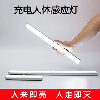 以典 81613 人体感应灯 白光人体感应款 20cm 2.5W