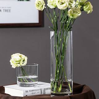 盛世泰堡 花瓶 北欧富贵竹百合透明水培玻璃插花器 直桶款25cm