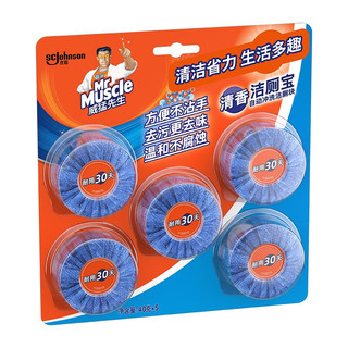 Mr Muscle 威猛先生 洁厕块 40g*5块 清香型