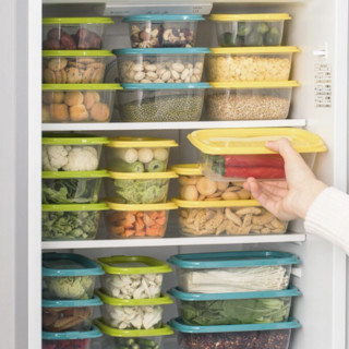 CHAHUA 茶花 带盖冰箱收纳盒长方形食品冷冻盒厨房收纳保鲜塑料储物盒 饭盒 蓝色三个装