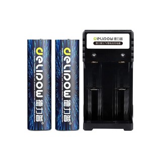 Delipow 德力普 尖头5550mWh 双槽充电器+2节电池