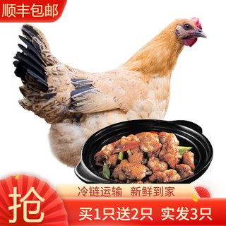 筱诺 土鸡三黄鸡童子鸡 生鲜走地鸡笨鸡 新鲜嫩鸡肉 整只装 约750g/只