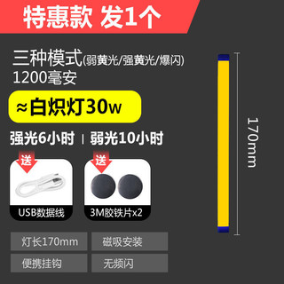 QIFAN 启梵 充电led地摊灯泡夜市应急照明摆摊户外家 17cm蓝色暖黄光两档调光30w