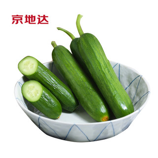 京地达 水果黄瓜 5斤装 新鲜蔬菜 健康轻食 小黄瓜 寿光产地直发