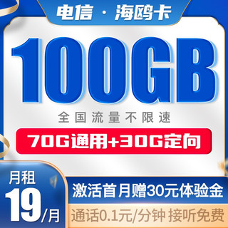 CHINA TELECOM 中国电信 电信不限速手机卡流量卡5G上网卡全国通用号码卡电话卡4G低月租校园卡 海鸥卡19月租100G大流量-HO1