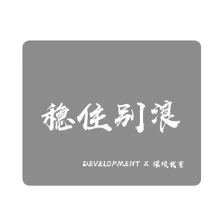 灵蛇 创意简约文字320**240*3mm中号加厚游戏办公鼠标垫 精密锁边 可水洗 稳住别浪 MSM-X18