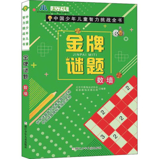 《中国少年儿童智力挑战全书·金牌谜题：数墙》