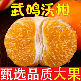 枝头春 广西武鸣沃柑 5斤中果（60-65mm）