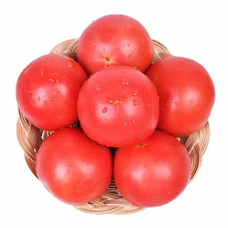 京东生鲜 鲁道鲜 山东普罗旺斯西红柿 5斤装 新鲜西红柿番茄 新鲜蔬菜