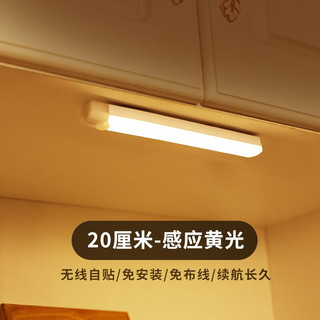 【新款促销】鸿视 led人体感应灯家用小夜灯 200mm白光单支装