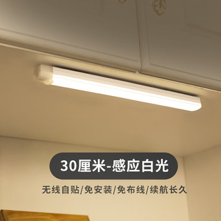 移动端：led人体感应灯小夜灯 300mm白光单支装