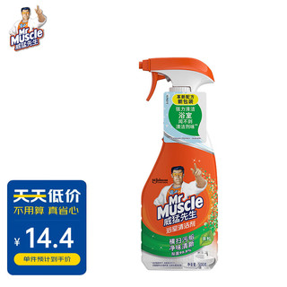 Mr Muscle 威猛先生 浴室清洁剂 500g