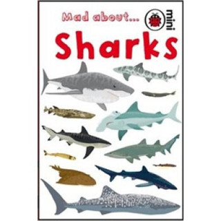 让人着迷的鲨鱼 儿童科普小百科 精装/Mad About Sharks 进口儿童绘本