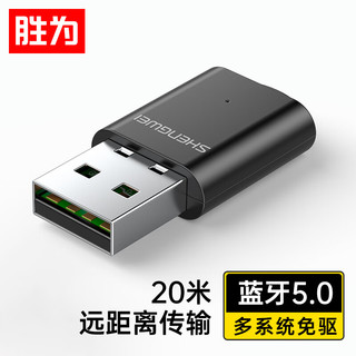 shengwei 胜为 EBT5001G USB蓝牙适配器 5.0 20m 黑色