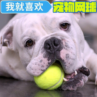 狗狗玩具球金毛泰迪弹力球耐咬磨牙网球宠物幼犬拉布拉多小狗训练