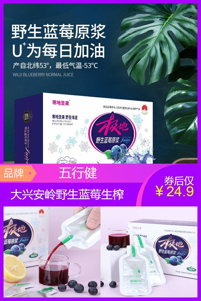 【补贴价:24.9元】 【五行健】大兴安岭野生蓝莓原浆300ml