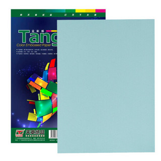 TANGO 天章 A4平面皮纹纸/云彩纸/卡纸 浅蓝色150克 100张/包
