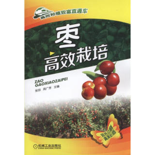 枣高效栽培