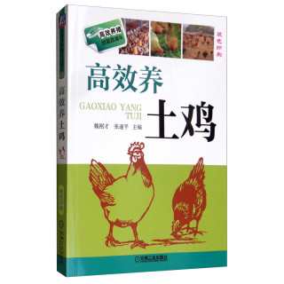 高效养土鸡