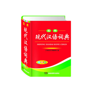 实用现代汉语词典