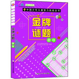 《中国少年儿童智力挑战全书·金牌谜题：数桥》